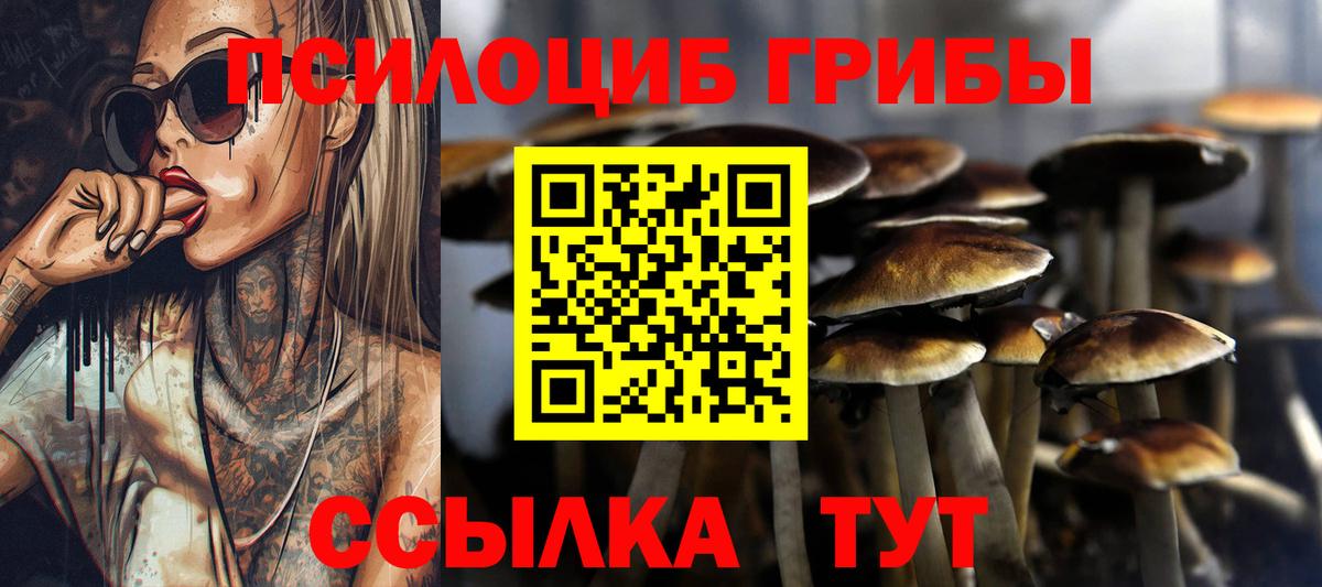 Галлюциногенные грибы Magic Shrooms  хочу наркоту  Кострома  Вход с VPN 